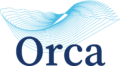 Orca