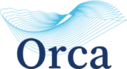 Orca
